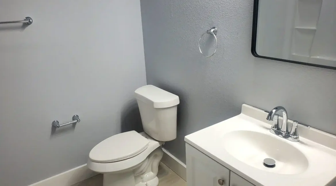 WhatsApp Image 2024-11-11 at 8.51.17 AM - Copy